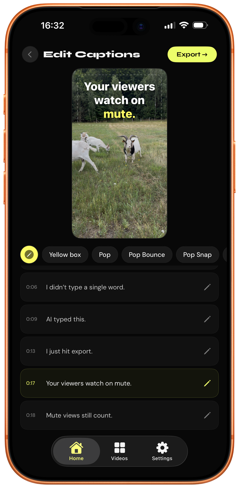 Caply caption editor with multiple style looks